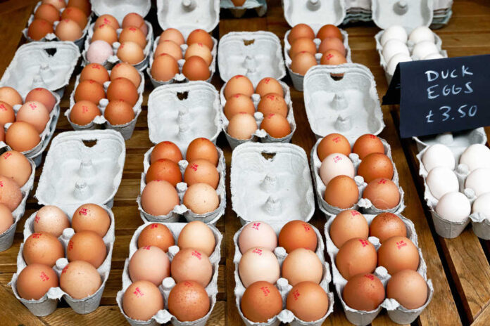 Fresh,Chicken,And,Duck,Eggs,On,Display,At,Borough,Market