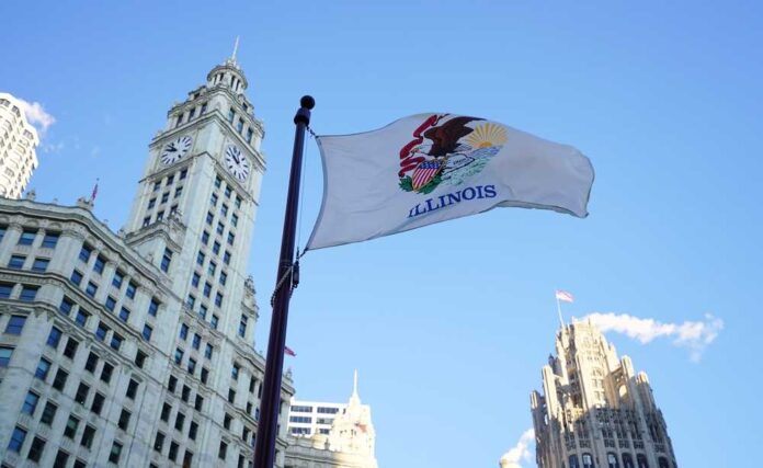 Chicago,,Il,-6,Jan,2017-,The,Flag,Of,The,State